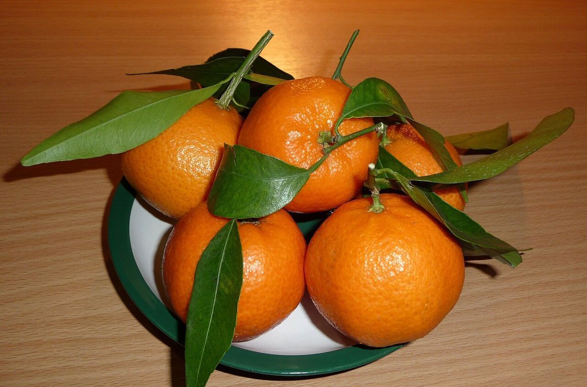 新鲜水果